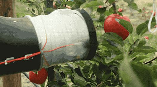 1582723317915469.png 图片4.png