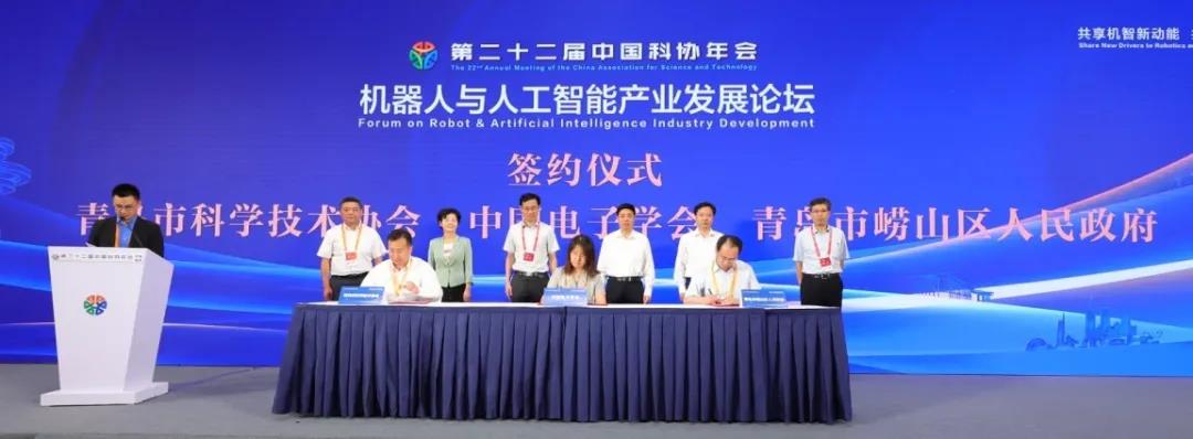 1597393907819657.jpg 6.jpg