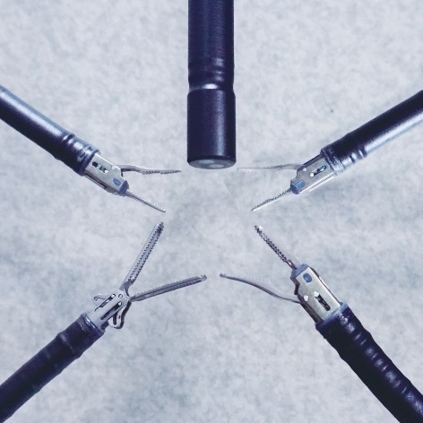 1627381127401735.jpg 33087ad11b1b021a2d13729c10dbae6f.jpg