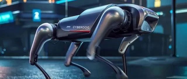 1628686996724081.jpg 0 (1).jpg