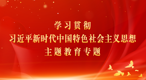 学习贯彻习近平新时代中国特色社会主义思想主题教育